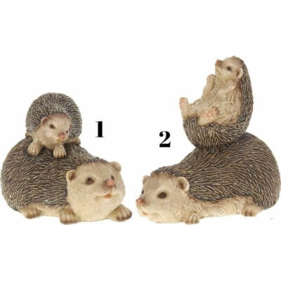 JEŻYKI DWA 1